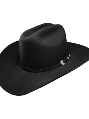 Stetson Westernhut Corral Buffalo 4X schwarz Gr. Large Hüte Filzhüte primary image